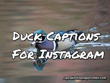 Duck Captions For Instagram