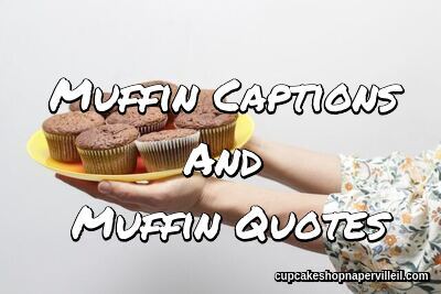 Muffin Captions