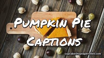 Pumpkin Pie Captions