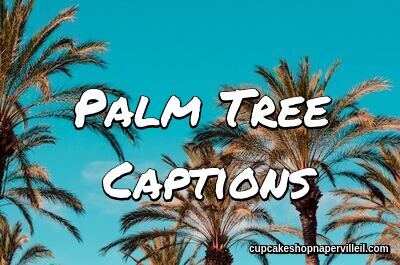 Palm Tree Captions